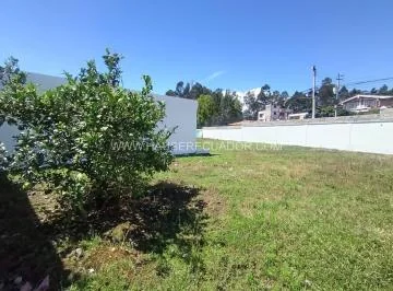 Terreno Comercial 1.060 m² en Conocoto con 103 m de Frente | Alta Visibilidad y Gran Potencial — imagen 3