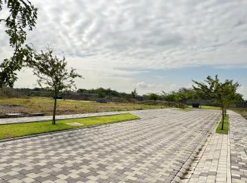Vendo Terreno en Mocoli Urbanización Cantabria, Guayas — imagen 9