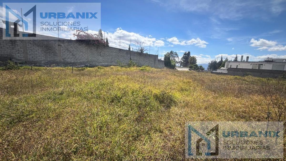 Terreno en Monteserrín — imagen 10