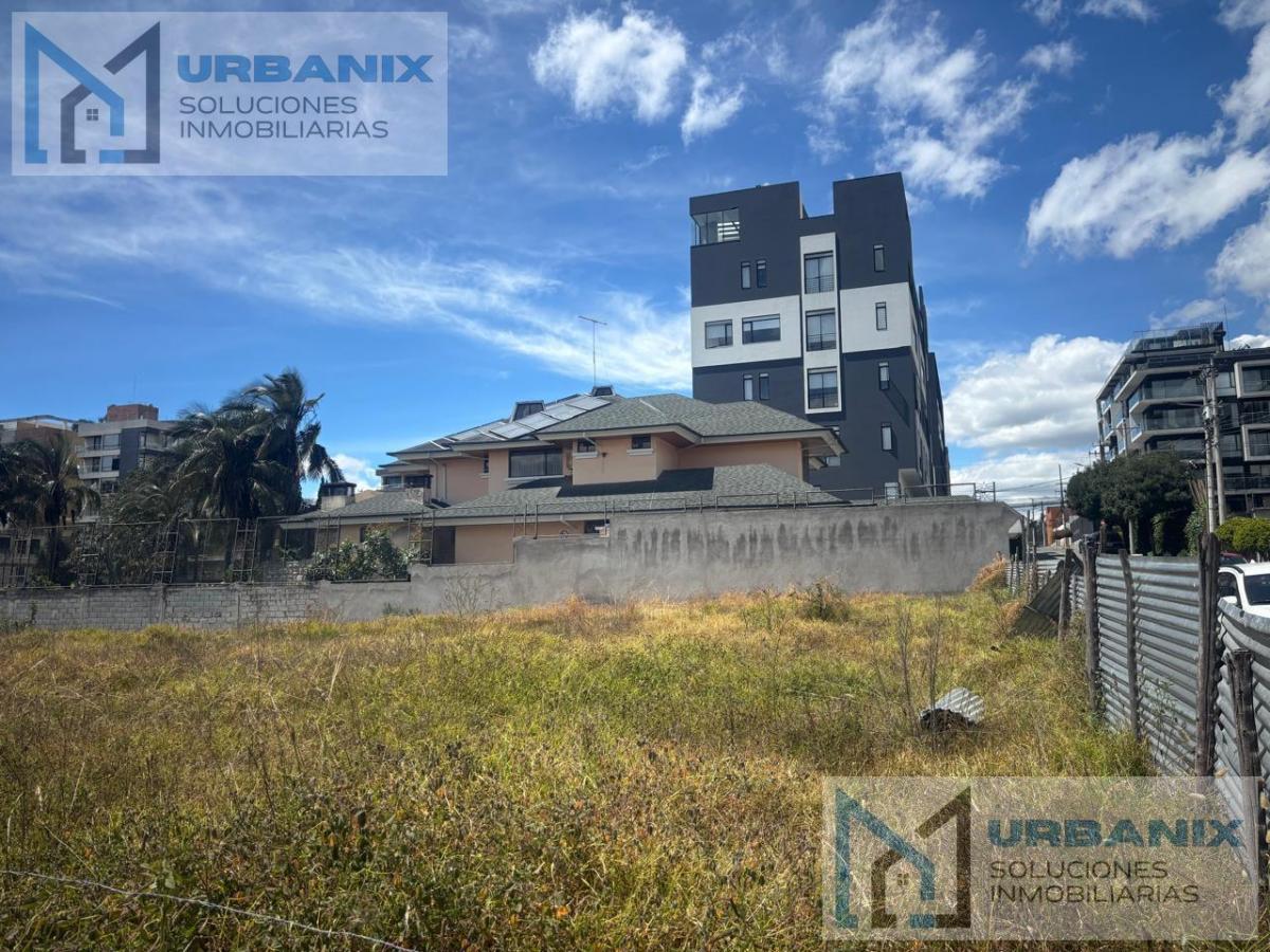 Terreno en Monteserrín — imagen 8