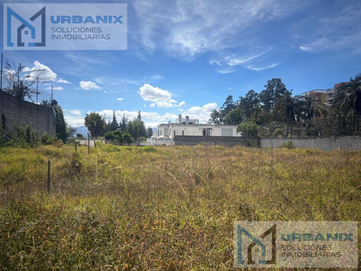 Terreno en Monteserrín — imagen 7