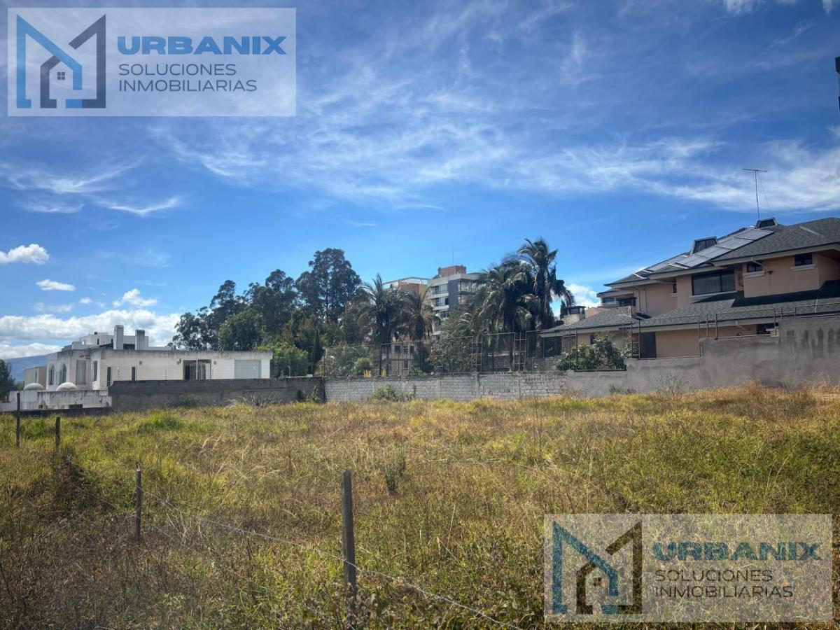 Terreno en Monteserrín — imagen 6