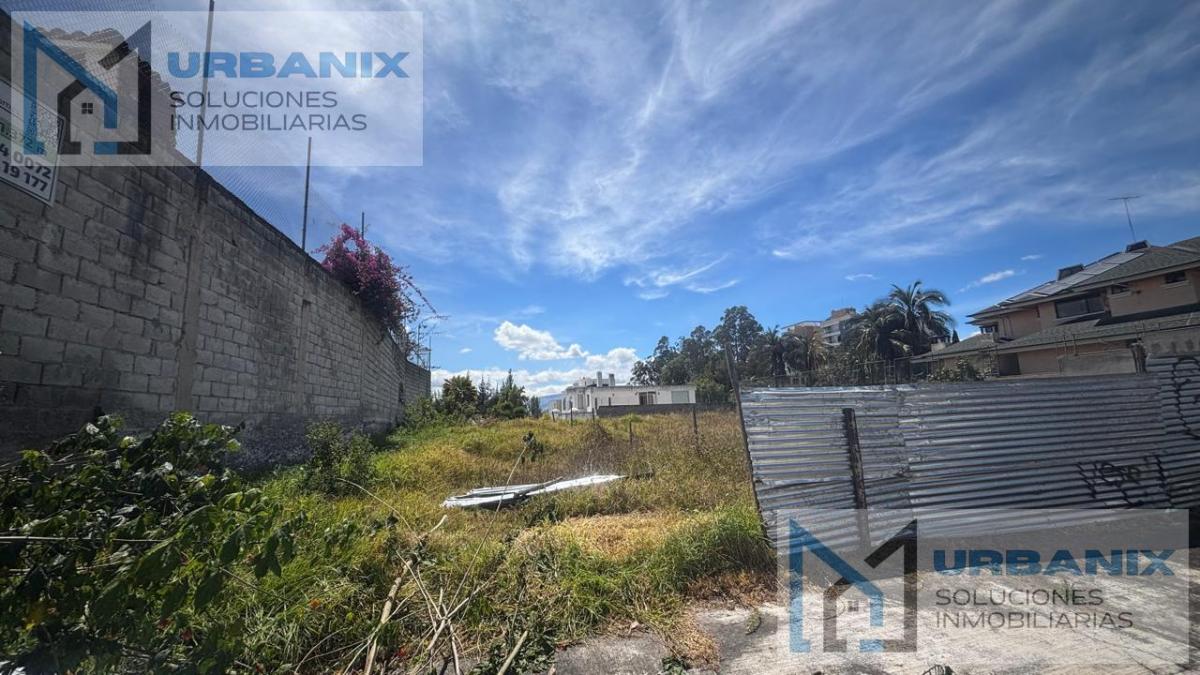 Terreno en Monteserrín — imagen 2