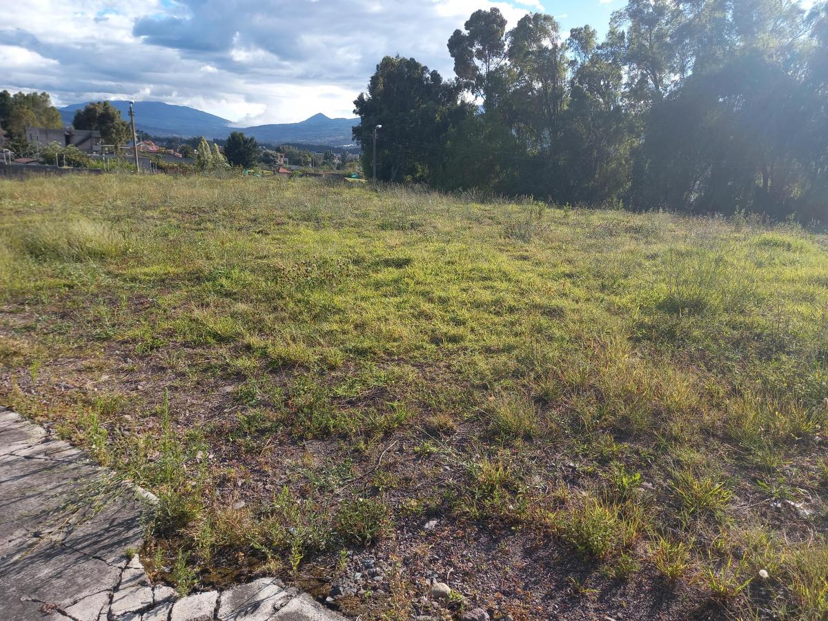 Terreno en Urbanizacion Planos Aprobados Listo Para Construir Sector El Colibri — imagen 10