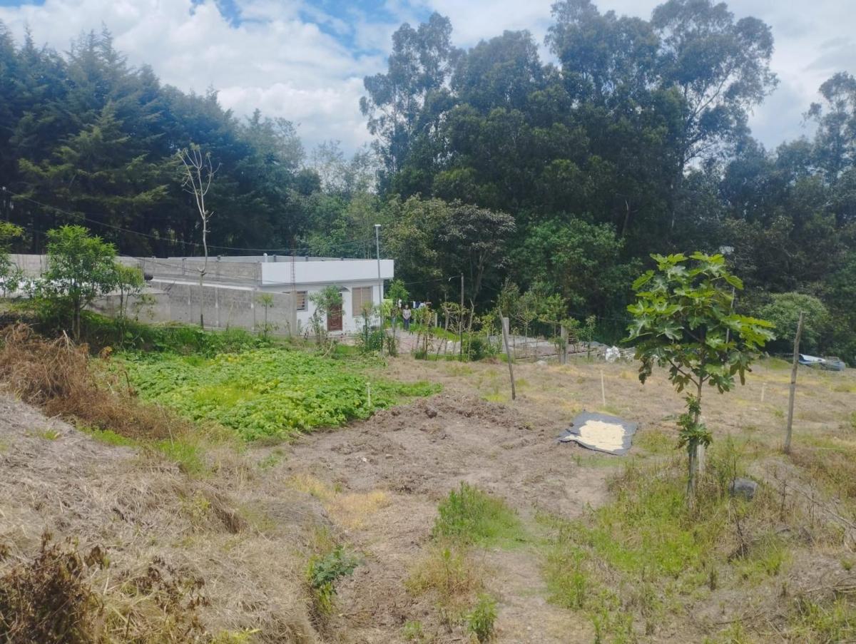 Terreno, Alangasi Av Ilalo y Av Gaspar de Villarroel 2920 m² — imagen 7