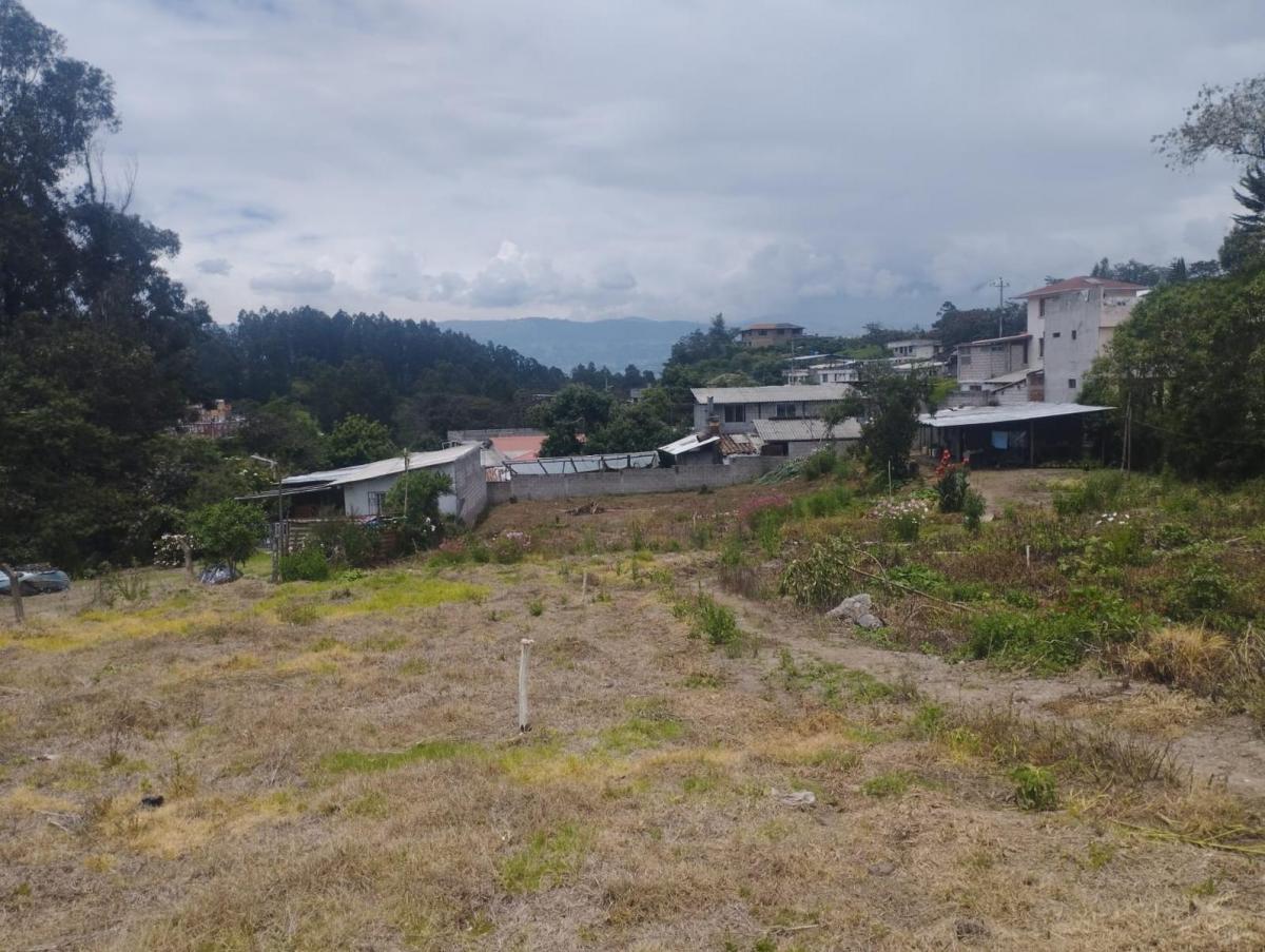 Terreno, Alangasi Av Ilalo y Av Gaspar de Villarroel 2920 m² — imagen 6