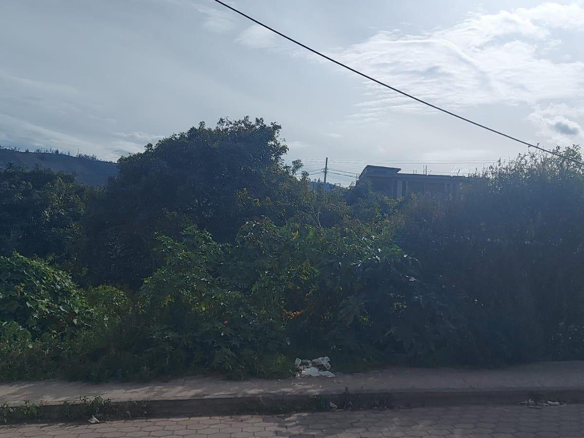 Terreno - en Venta - Patate - 449 m², Tungurahua — imagen 4