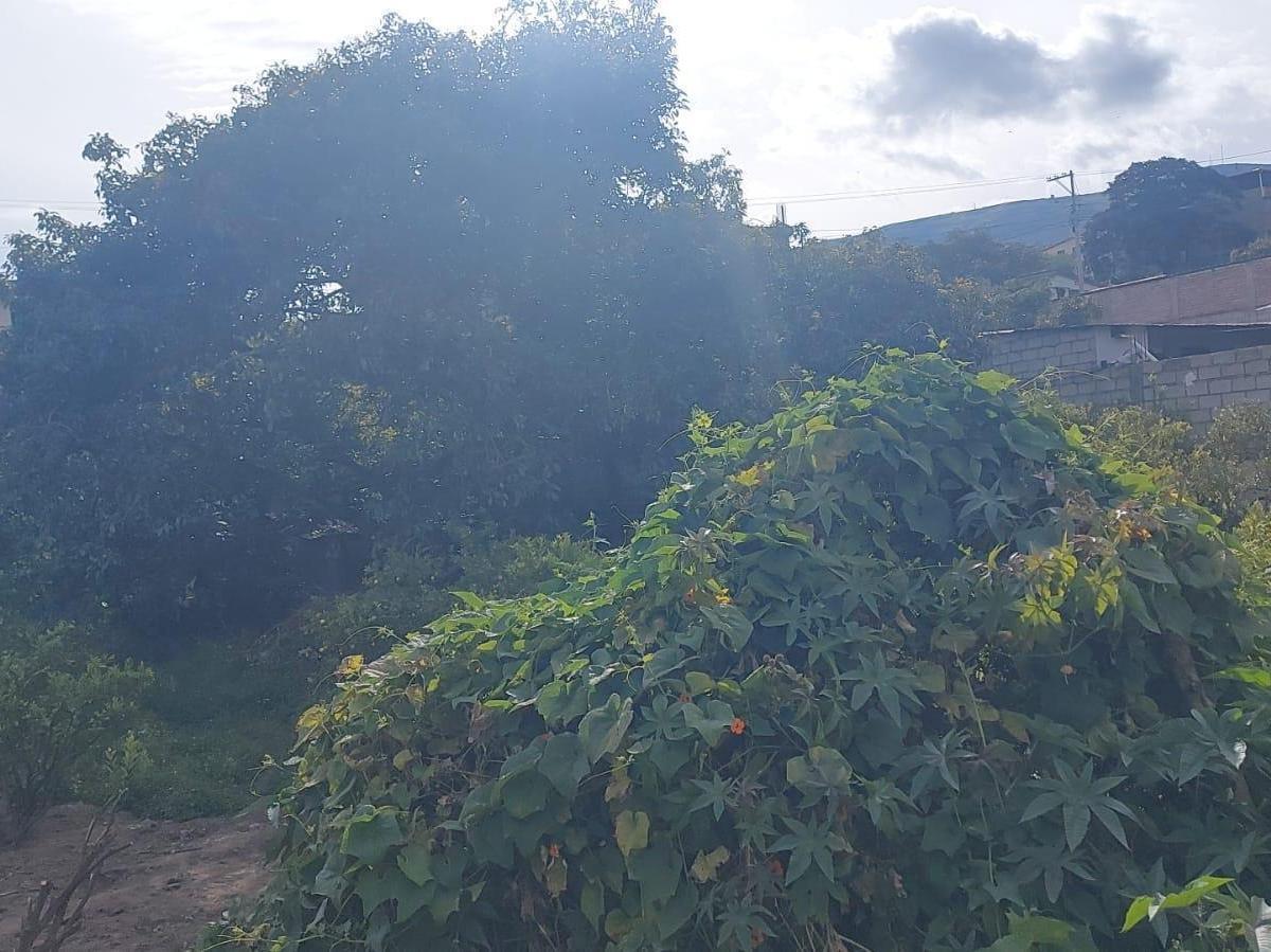 Terreno - en Venta - Patate - 449 m², Tungurahua — imagen 3