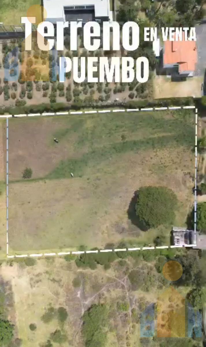 Vendo Terreno 7000 m² 50% 100% Cos Puembo Sector Mangahuantag — imagen 8