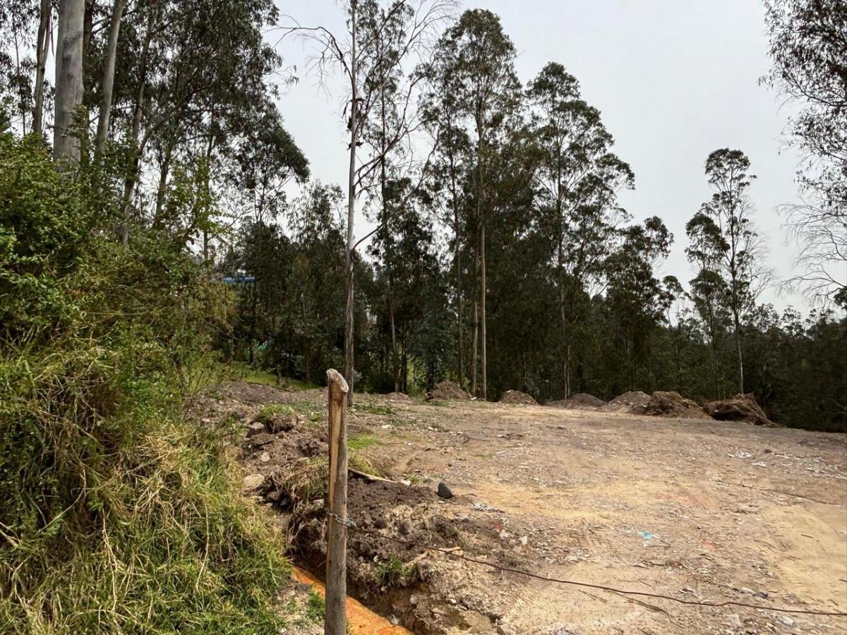 Terreno Industrial $184.900 Imi 2.940 m² Autopista General Rumiñahui Puente 2 — imagen 5