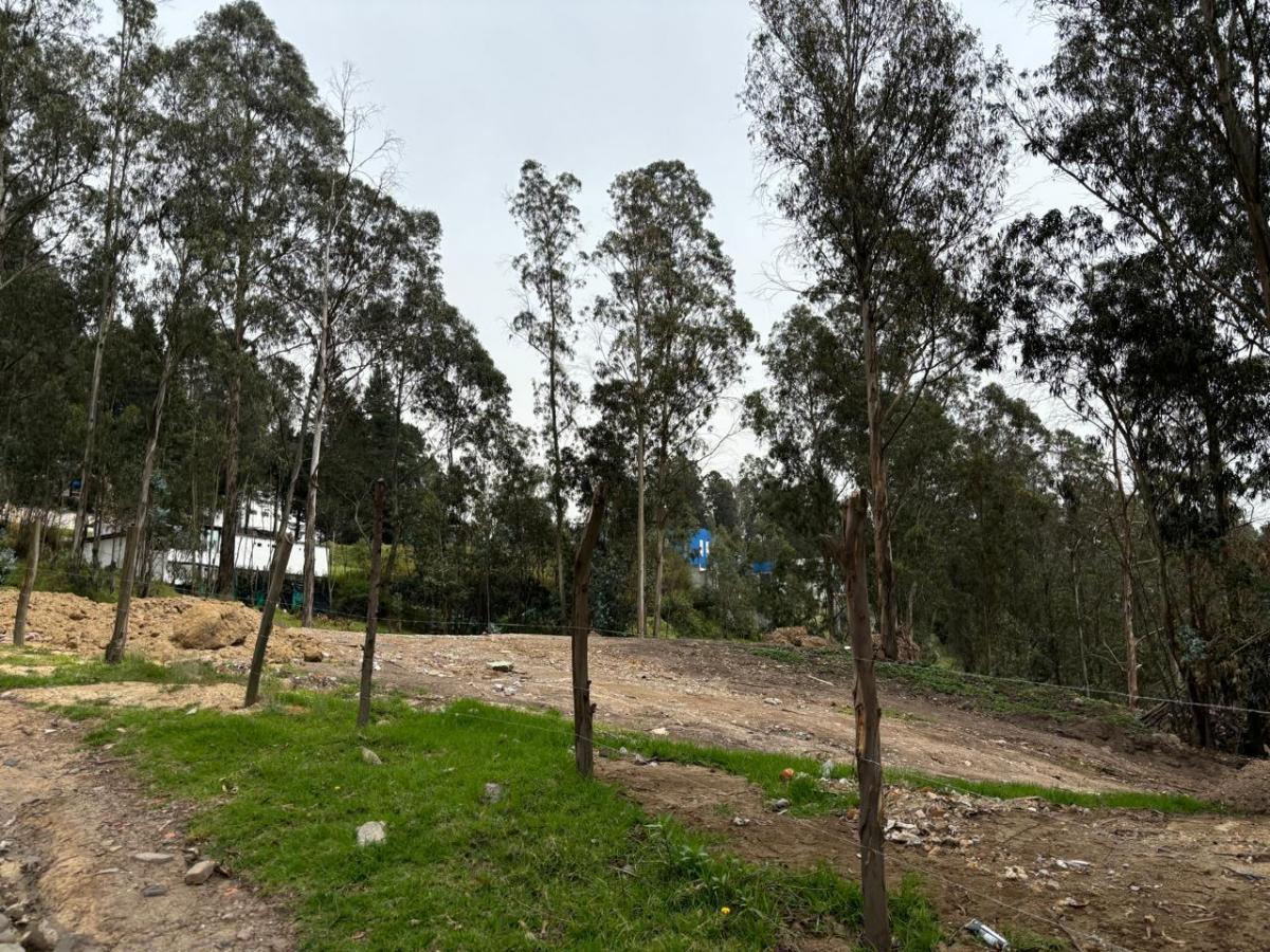Terreno Industrial $184.900 Imi 2.940 m² Autopista General Rumiñahui Puente 2 — imagen 3