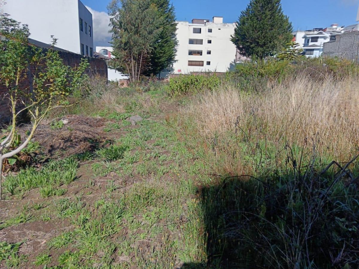 Terreno en Venta — imagen 9