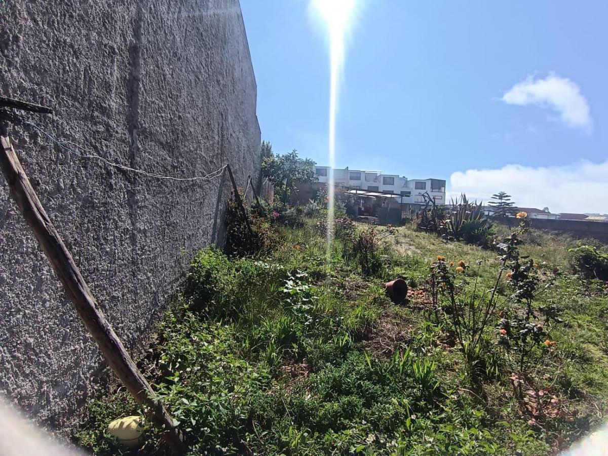 Terreno en Venta — imagen 8