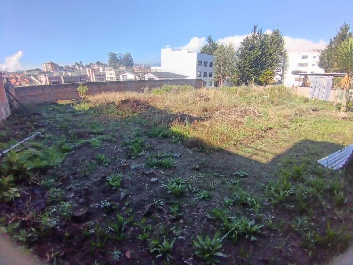 Terreno en Venta — imagen 7