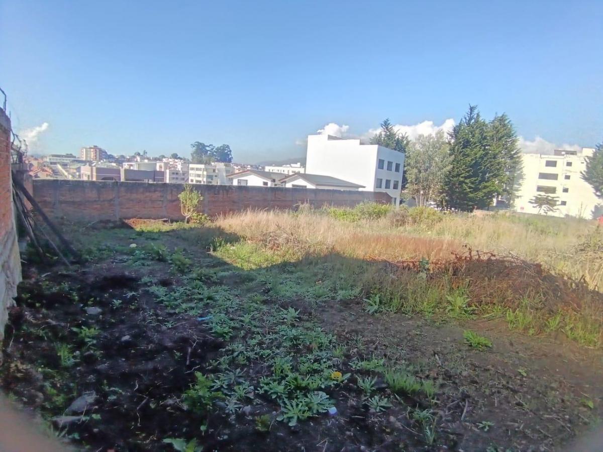 Terreno en Venta — imagen 6