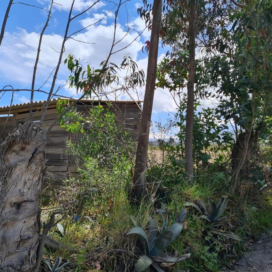 Terreno en Venta en Malchingui, Pedro Moncayo, Norte de Guayllabamba — imagen 3
