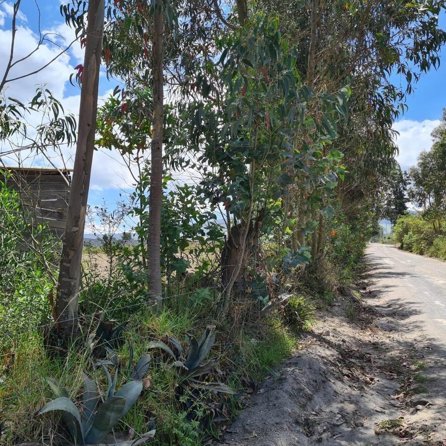Terreno en Venta en Malchingui, Pedro Moncayo, Norte de Guayllabamba — imagen 2