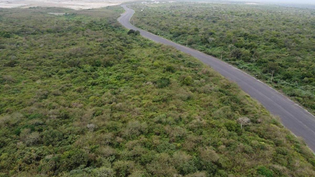 Terreno de Venta en Manta Zona Sur El Aromo, Manabí — imagen 8