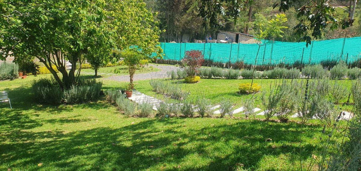 Terreno de 770 m² en Venta en Tumbaco Pachosalas — imagen 9