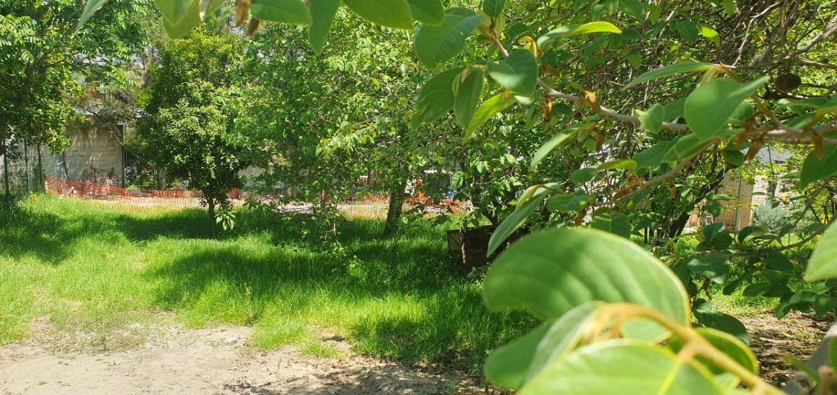 Terreno de 770 m² en Venta en Tumbaco Pachosalas — imagen 6
