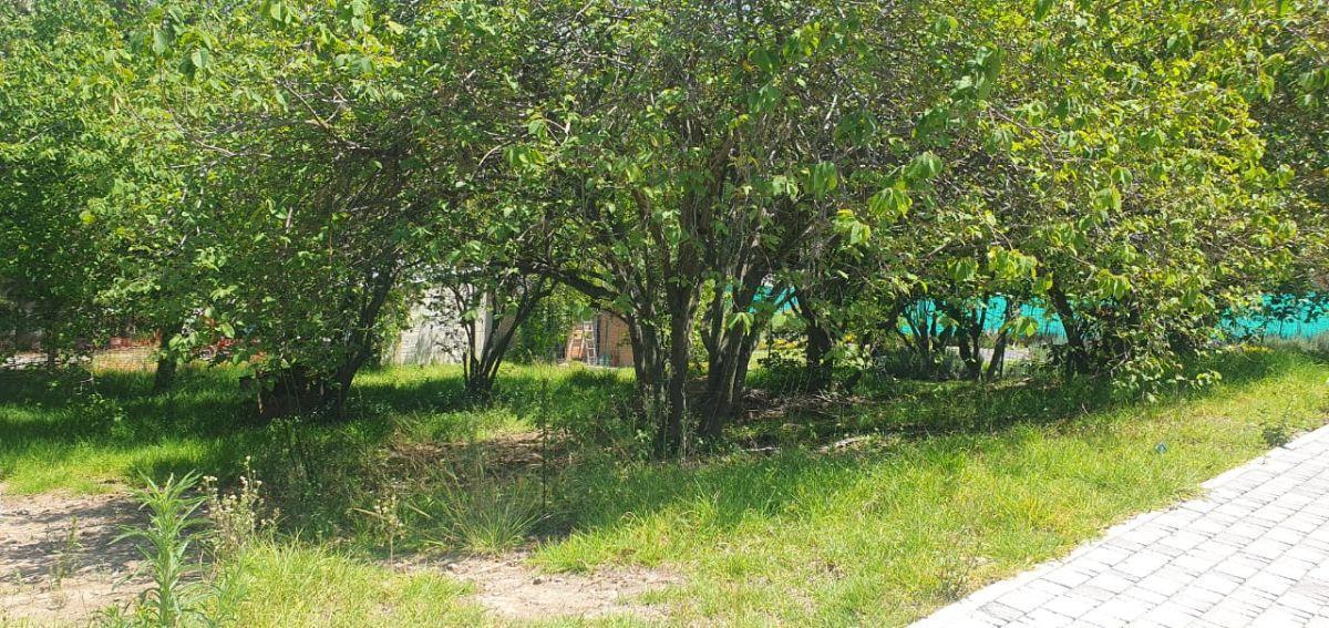 Terreno de 770 m² en Venta en Tumbaco Pachosalas — imagen 2