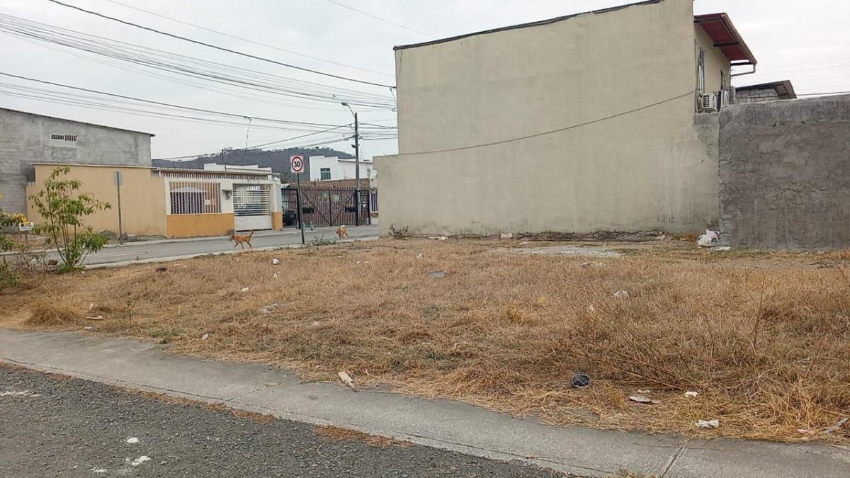 Terreno en Venta en Mi Lote Norte de Guayaquil Chrs, Guayas — imagen 6