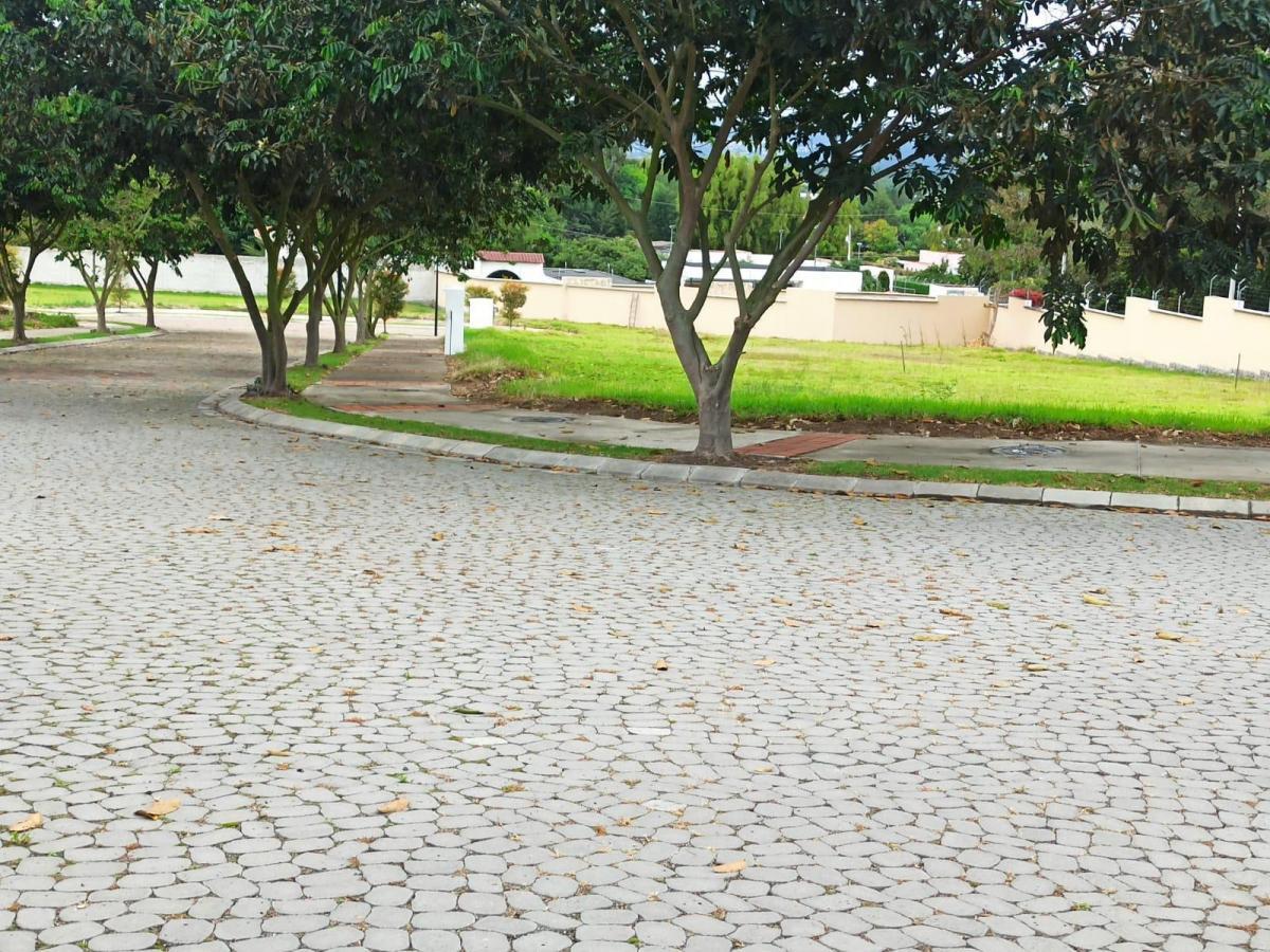 Terreno en Venta en Puembo – 1.000 m² en Urbanización Privada Junto a Arrayanes — imagen 10