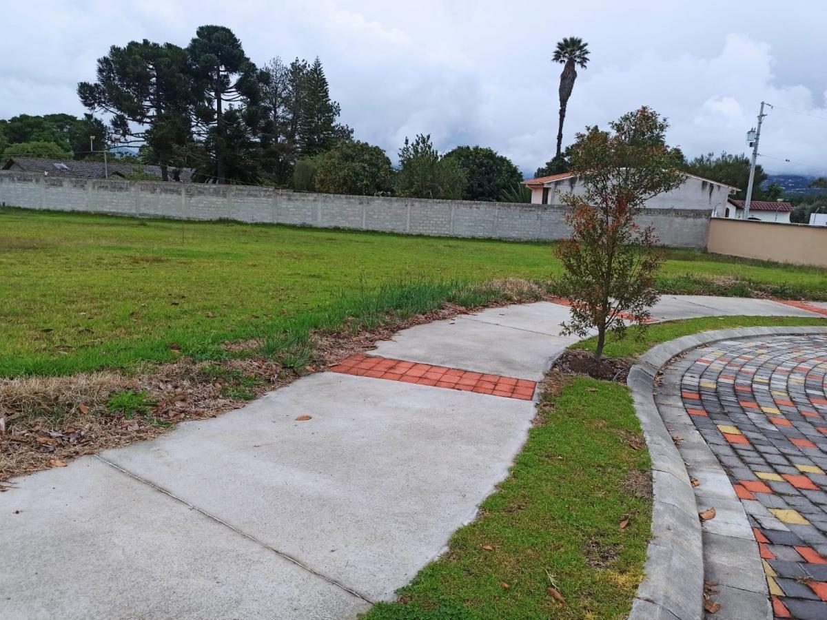 Terreno en Venta en Puembo – 1.000 m² en Urbanización Privada Junto a Arrayanes — imagen 9