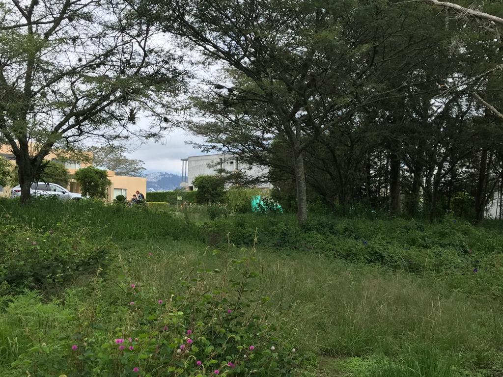 Venta Oportunidad Terreno Club Privado Arrayanes, Puembo 1100 m² — imagen 9