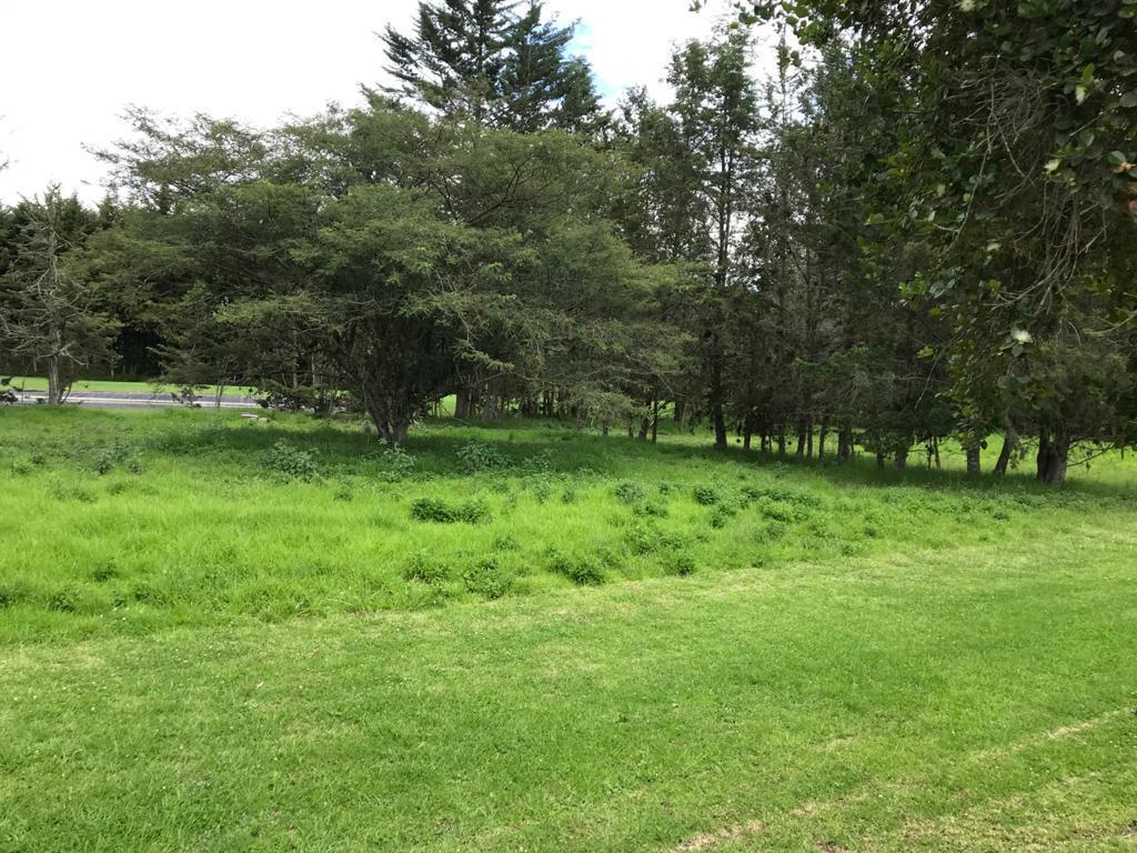 Venta Oportunidad Terreno Club Privado Arrayanes, Puembo 1100 m² — imagen 8