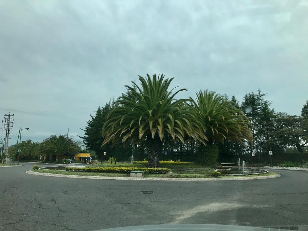 Venta Oportunidad Terreno Club Privado Arrayanes, Puembo 1100 m² — imagen 7