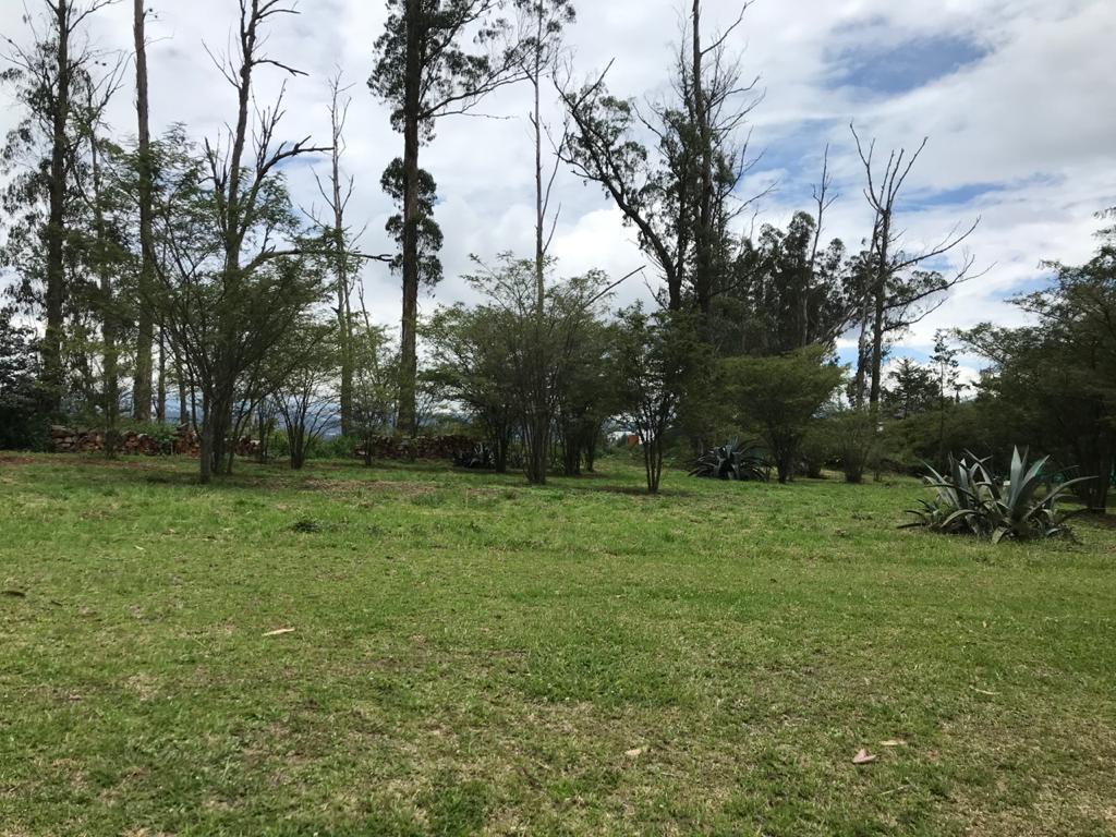 Venta Oportunidad Terreno Club Privado Arrayanes, Puembo 1100 m² — imagen 6