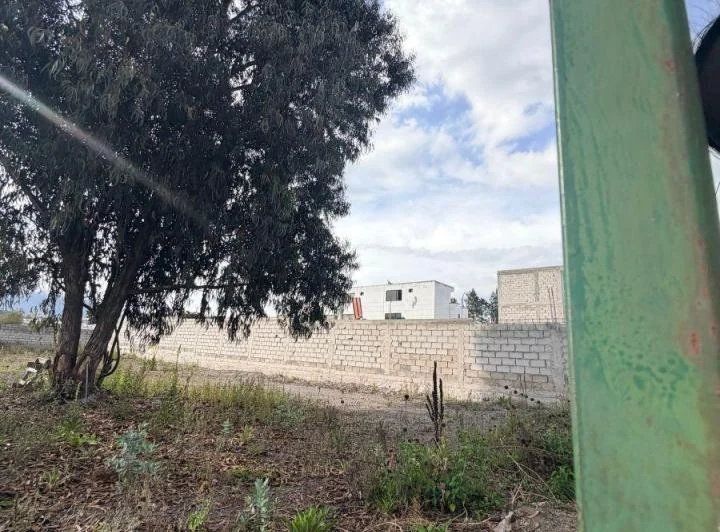 Arriendo Terreno Calderón Todo Tipo de Negocio — imagen 1