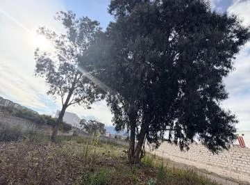 Arriendo Terreno Calderón Todo Tipo de Negocio — imagen 4