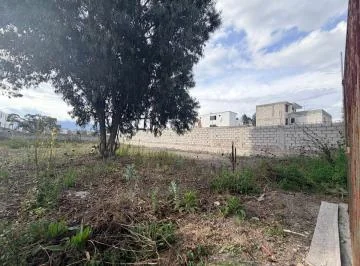 Arriendo Terreno Calderón Todo Tipo de Negocio — imagen 3