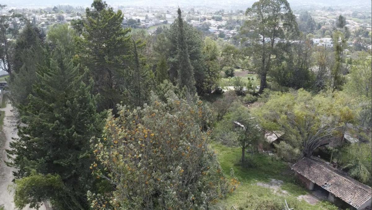Terreno en Venta Sector Las Acacias Tumbaco — imagen 9