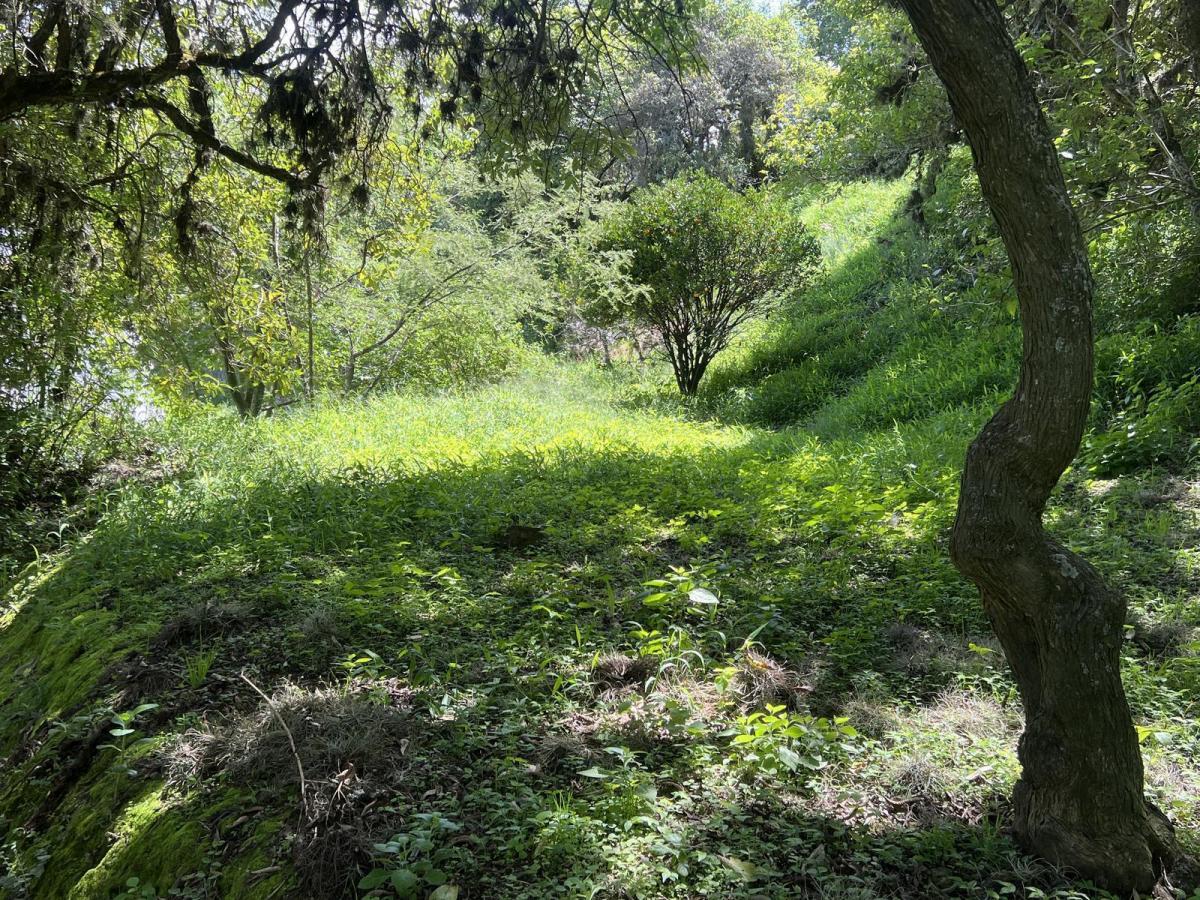 Terreno en Cumbayá — imagen 9