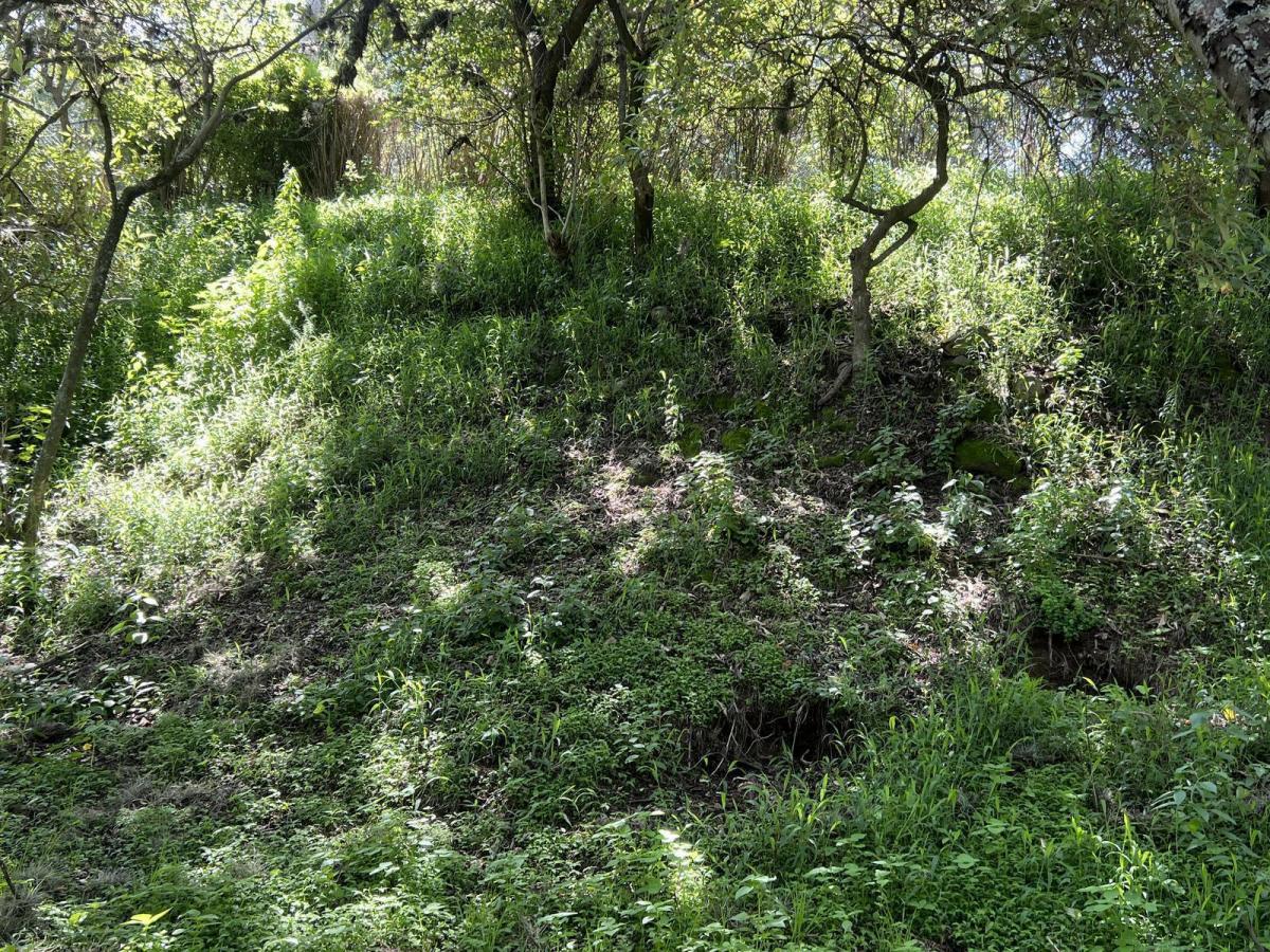Terreno en Cumbayá — imagen 8