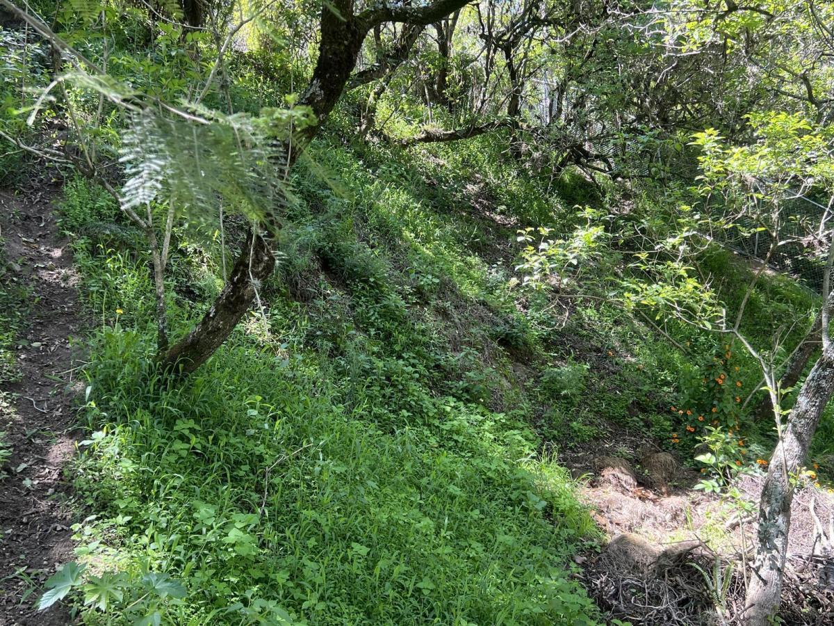 Terreno en Cumbayá — imagen 7