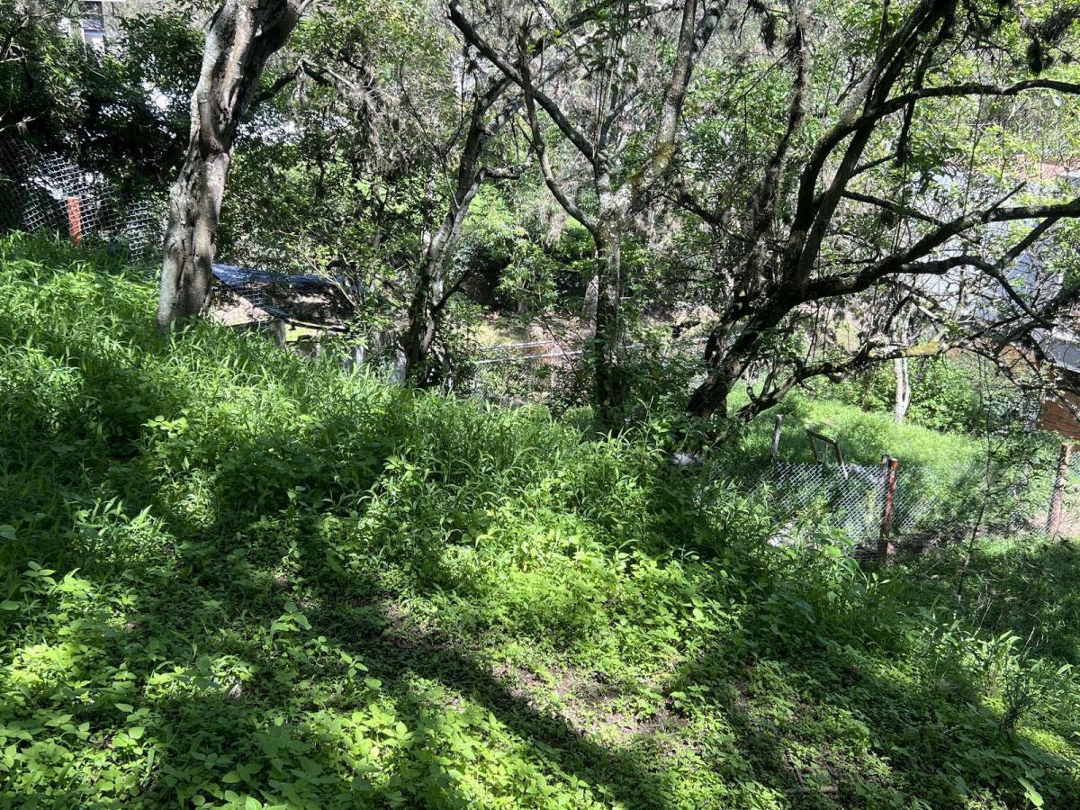Terreno en Cumbayá — imagen 6