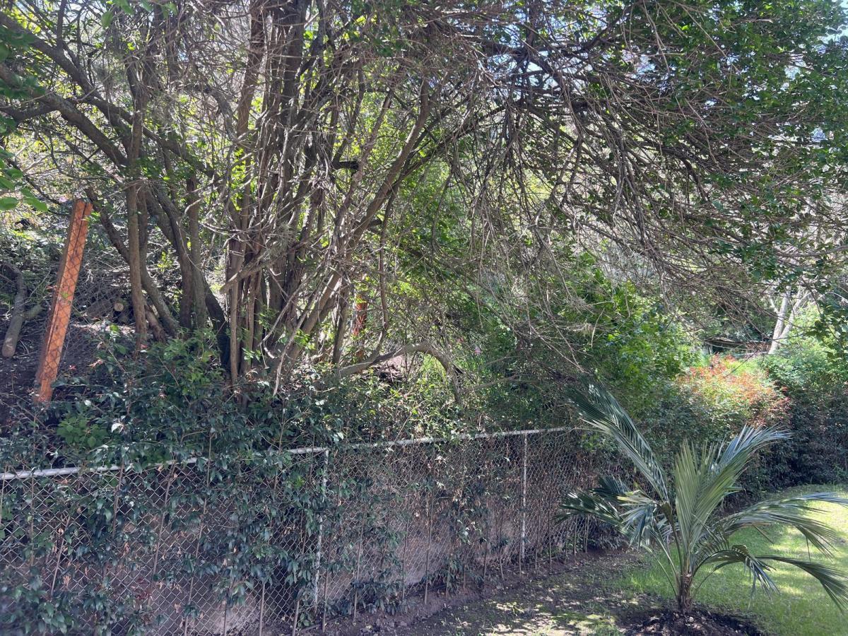 Terreno en Cumbayá — imagen 2