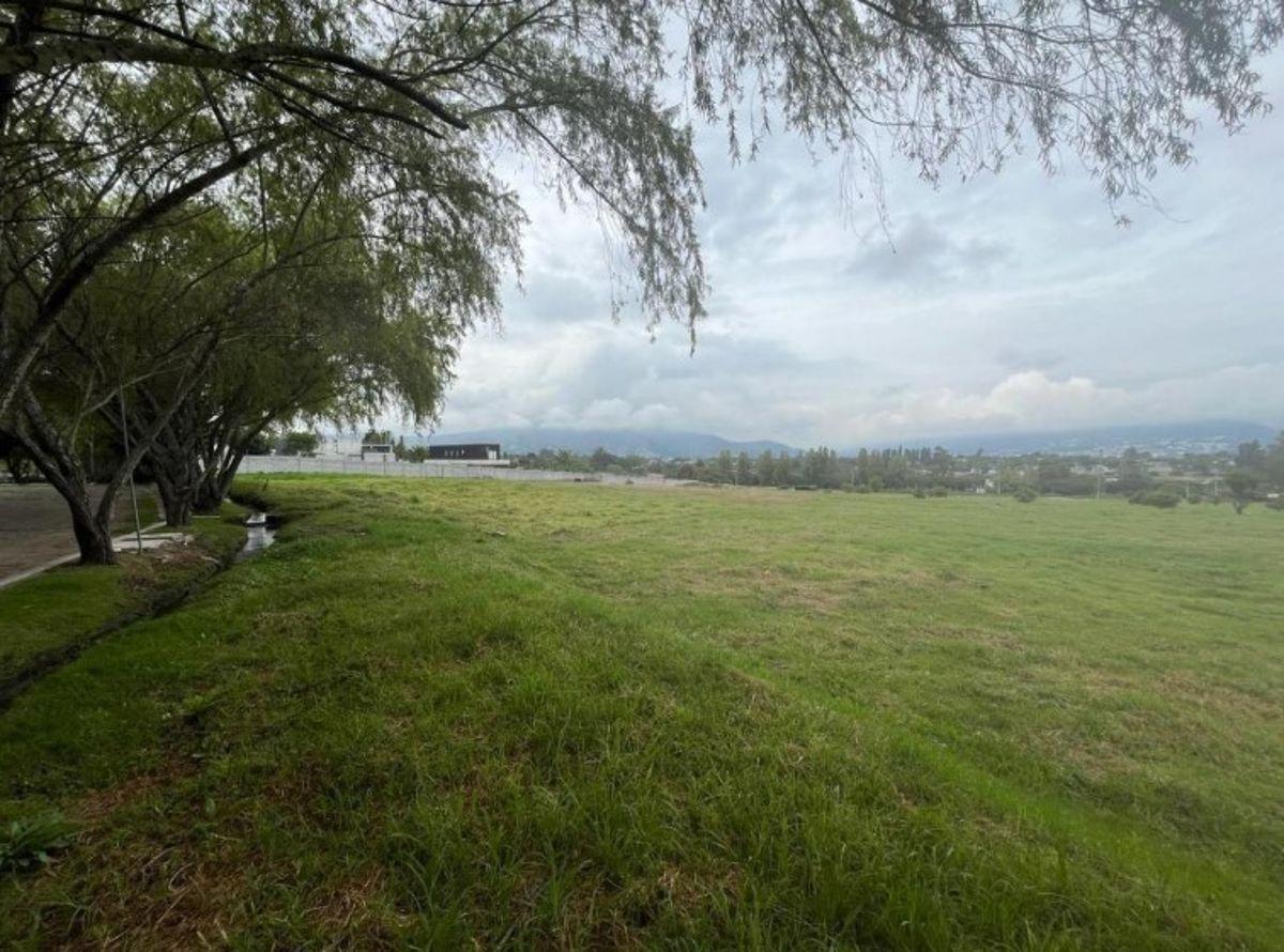 Venta Terreno en Tumbaco Hilacril — imagen 10