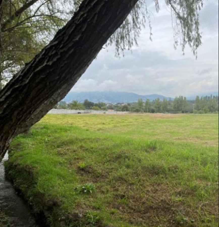 Venta Terreno en Tumbaco Hilacril — imagen 8