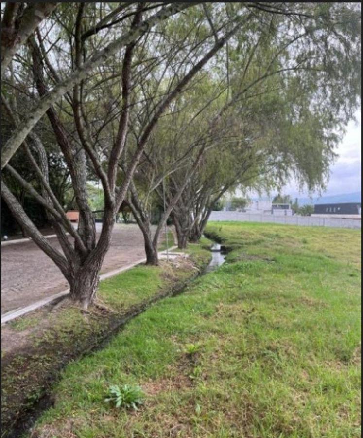 Venta Terreno en Tumbaco Hilacril — imagen 6