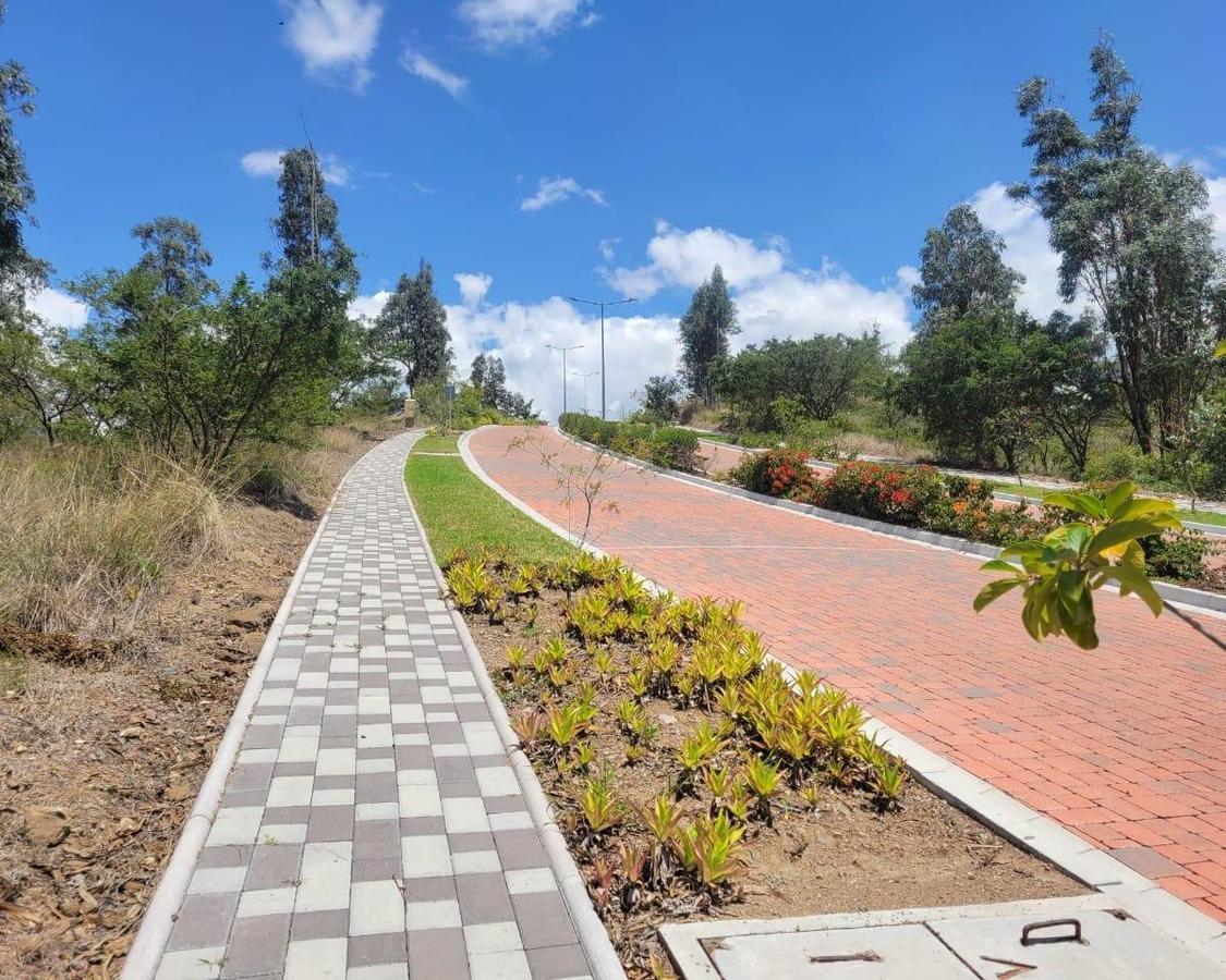 Hermoso Lote con Vista y Guardíania - Tumbaco — imagen 10