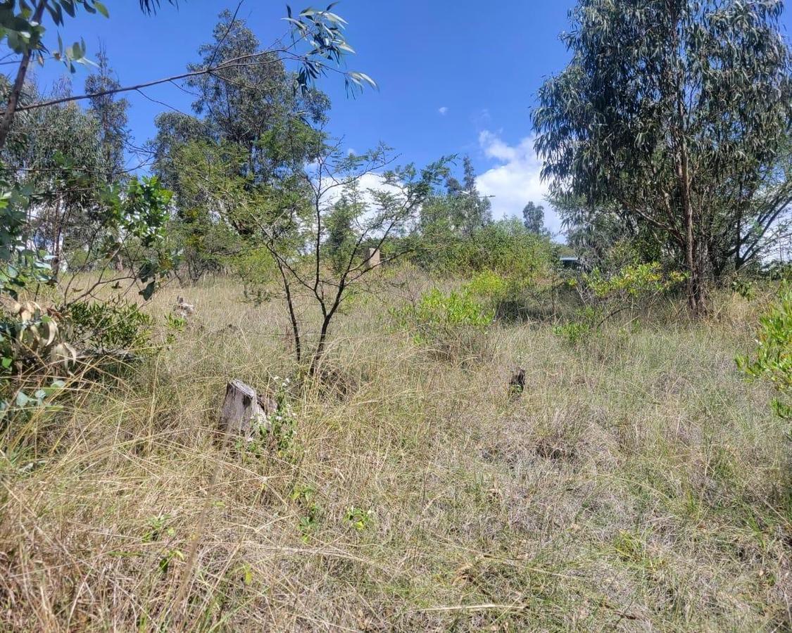 Hermoso Lote con Vista y Guardíania - Tumbaco — imagen 9