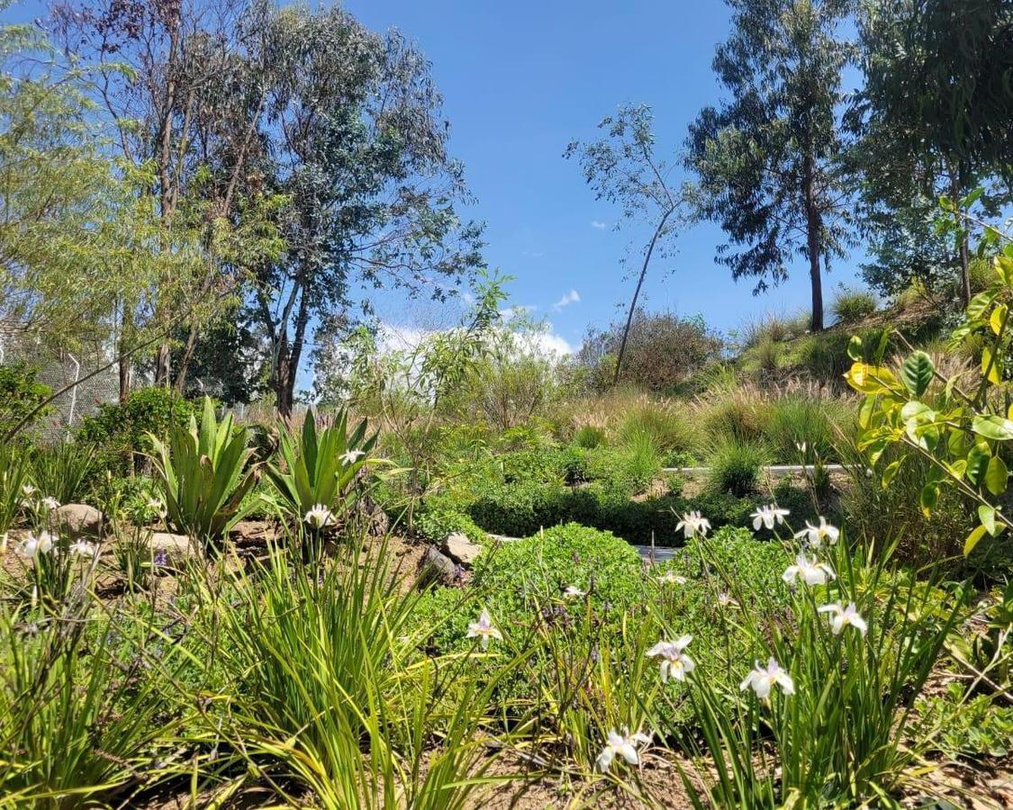 Hermoso Lote con Vista y Guardíania - Tumbaco — imagen 8