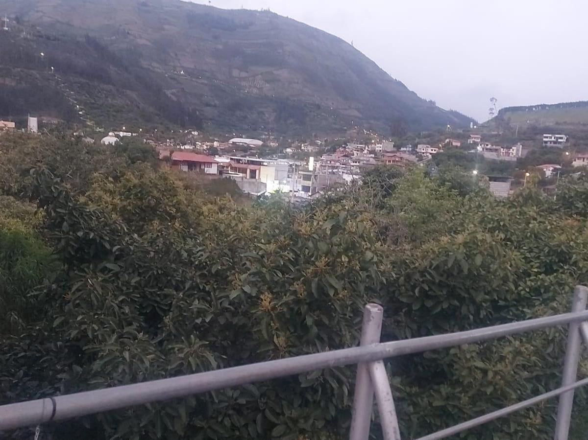 Terreno - en Venta - Patate - 441 m², Tungurahua — imagen 4