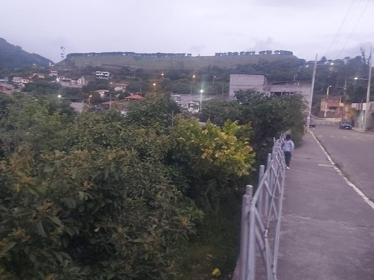Terreno - en Venta - Patate - 441 m², Tungurahua — imagen 3