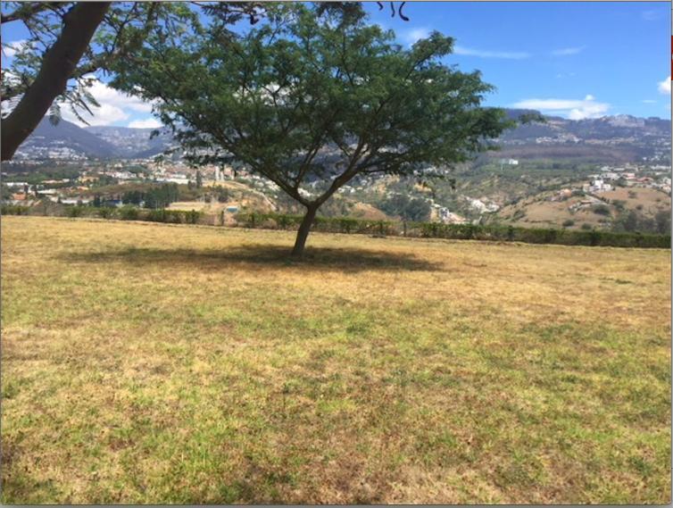 Cumbaya Lote de Venta en Urbanizacion Privada Hermosa Vista Sector Colegio Menor — imagen 9